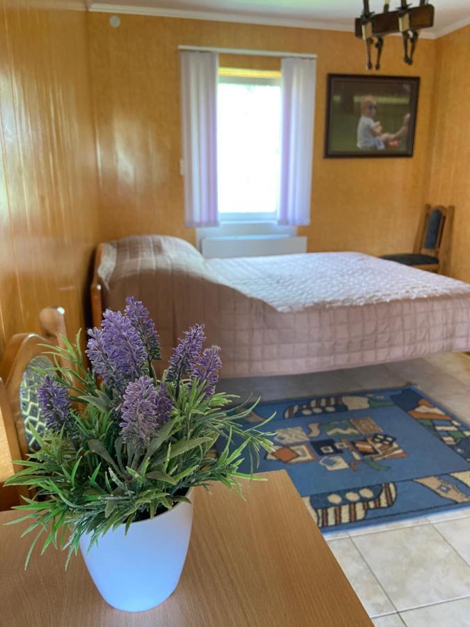 Готель Constancia Кам'янець-Подільский Екстер'єр фото